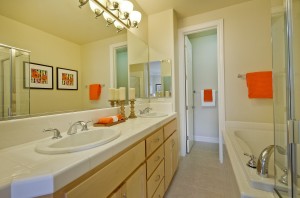 036_Master Bathroom