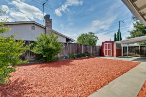 039_Backyard